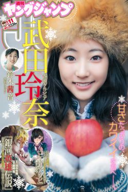 人人都爱雷蒙德第二季