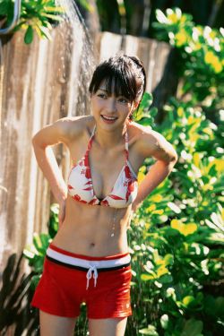 养蜂人杰森斯坦森版免费观看